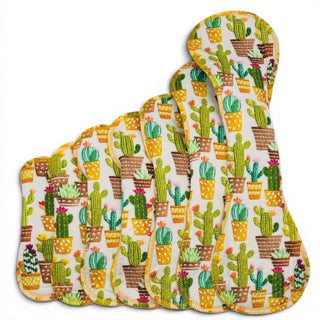 PAD STITCHED CACTUS (STAY DRY)